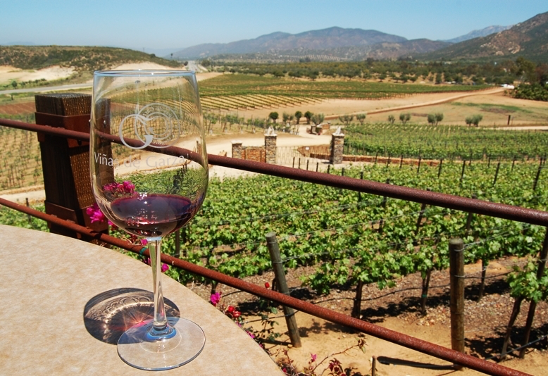 Rosarito Beach Spring Break 2023 Add Ons Valle de Guadalupe Wine Tasting LVIN