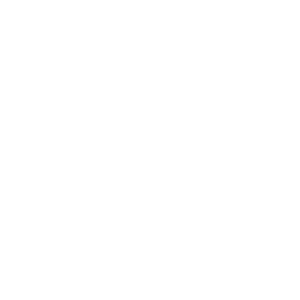 Las Vegas Fall Break 2024 Logo white LVIN
