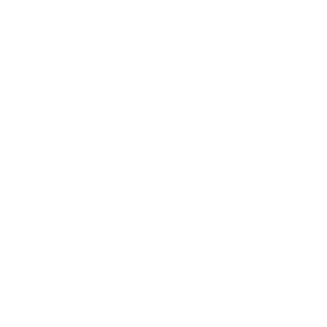 LVIN Skys the Limit logo